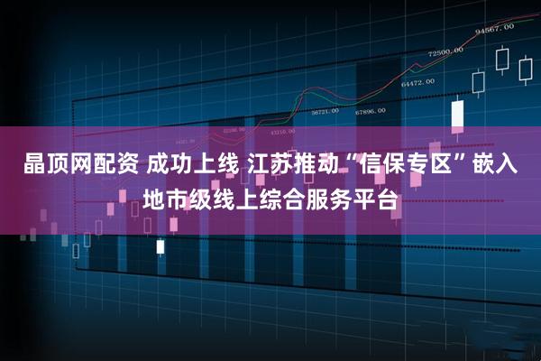 晶顶网配资 成功上线 江苏推动“信保专区”嵌入地市级线上综合服务平台