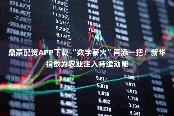 鼎豪配资APP下载 “数字薪火”再添一把！新华指数为农业注入持续动能