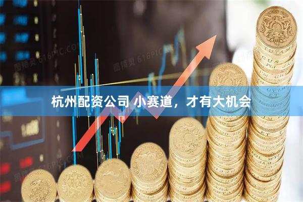 杭州配资公司 小赛道，才有大机会