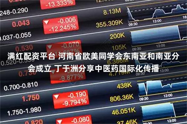 满红配资平台 河南省欧美同学会东南亚和南亚分会成立 丁于洲分享中医药国际化传播