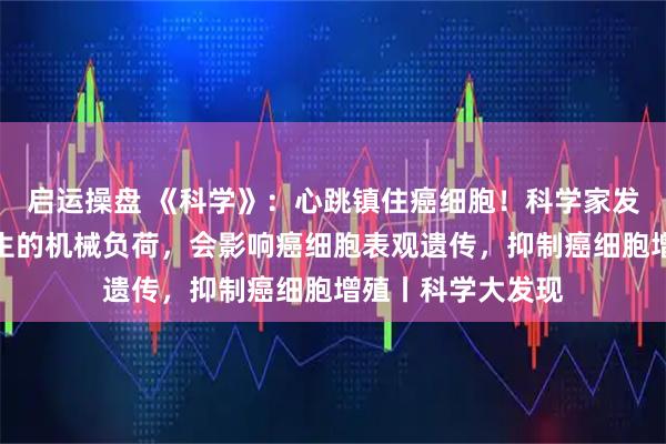 启运操盘 《科学》：心跳镇住癌细胞！科学家发现，心脏搏动产生的机械负荷，会影响癌细胞表观遗传，抑制癌细胞增殖丨科学大发现